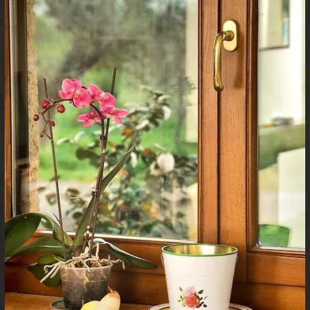 Bed & Breakfast Predio San Fernando Acquapendente